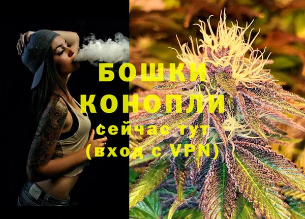 эйфоретик Переславль-Залесский