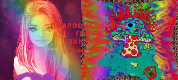 эйфоретик Переславль-Залесский