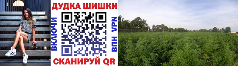 наркотики  Ахтырский  Конопля ГИДРОПОН 